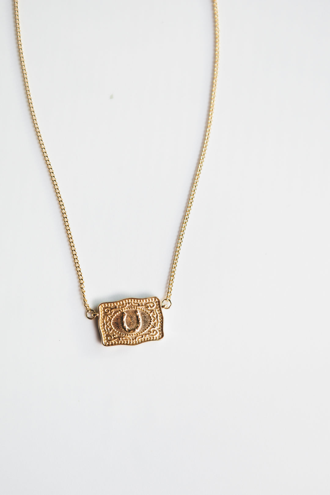 Lucky Buckle Necklace