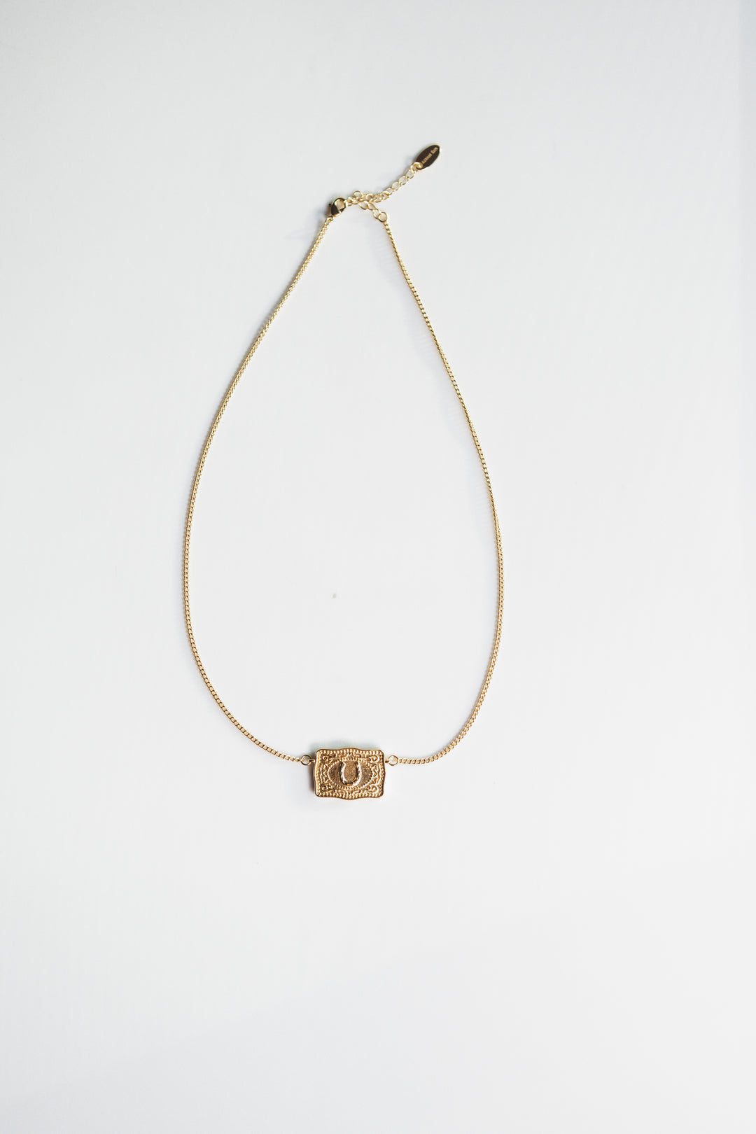 Lucky Buckle Necklace