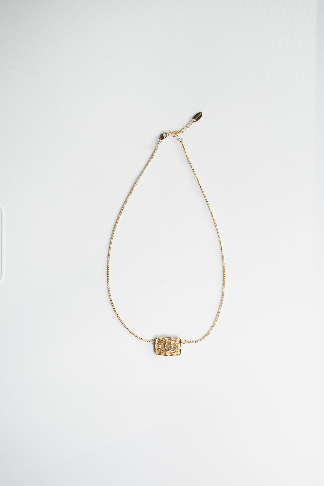 Lucky Buckle Necklace