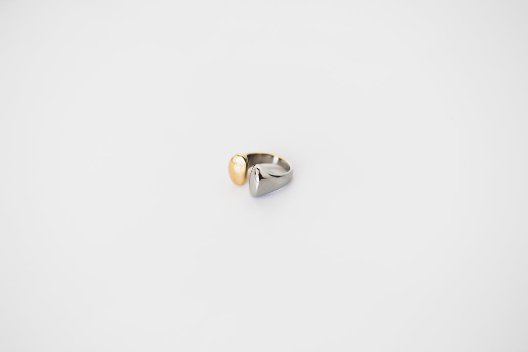 Mixed Metal Ring
