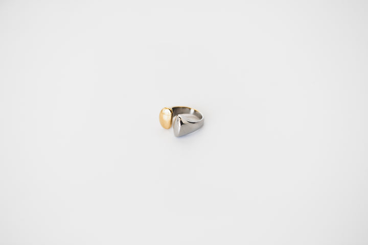 Mixed Metal Ring